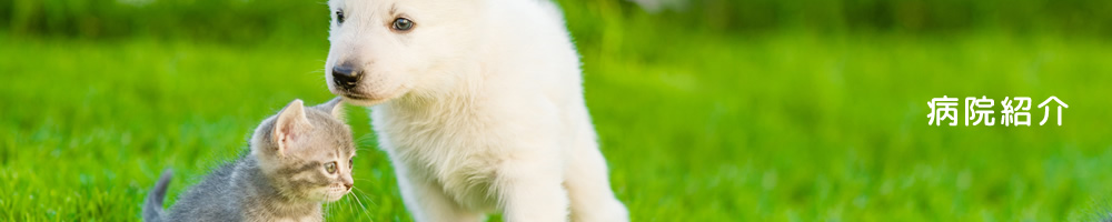 病院紹介
