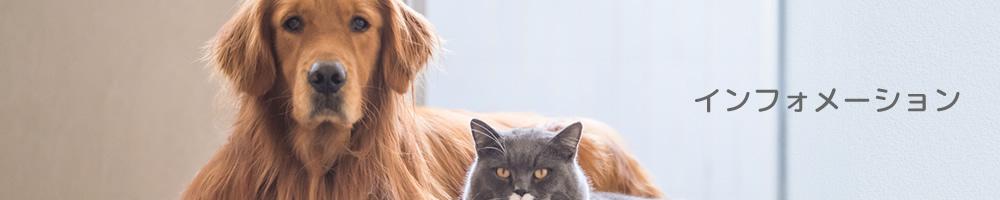 アクセス・医院概要